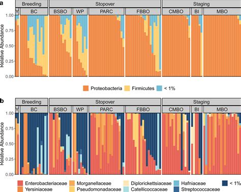 Convergent remodelling of the gut microbiome is associated with host ... - muktibox.com