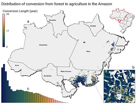 Conversion from Forest or Shrubland - Sandplain Grassland Network - raincitystudios.com