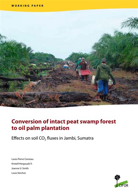 Conversion of intact peat swamp forest to oil palm plantation - wintechmobiles.com