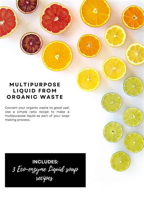 Convert waste to soap - Sugar & Spice - raincitystudios.com