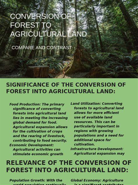 Converting Forest to Agriculture - ourf.info - raincitystudios.com