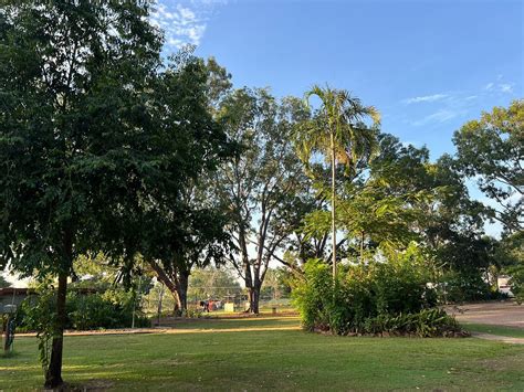 COOLALINGA TOURIST PARK (Darwin, Australië) - foto