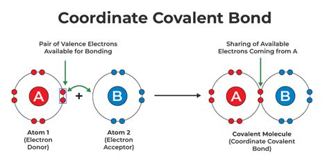 COORDINATE BOND AND COVALENT - wintechmobiles.com
