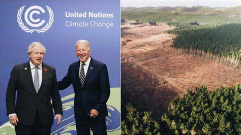 COP26: World leaders promise to end deforestation by … - raincitystudios.com