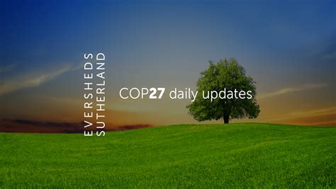 COP27: Accelerating decarbonization McKinsey & Company