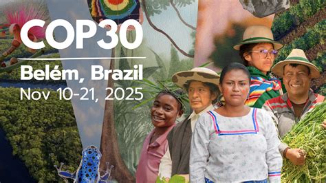COP30 conference:@How the world's biggest polluter has evolved as a renewables superpower