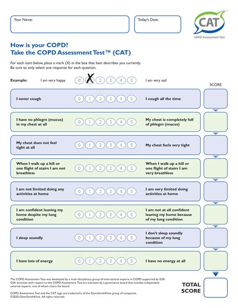 COPD Assessment Test (CAT) Score Interpretation World OSCAR