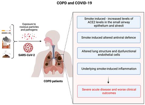 COPD and Increased Risk of Illness from COVID 19