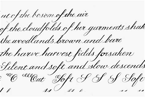 Copperplate Calligraphy: Historical Style Fundamentals - muktibox.com