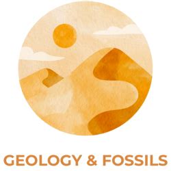 Coprolites: What Fossilized Feces Teach Us About Ancient Ecosystems - wintechmobiles.com