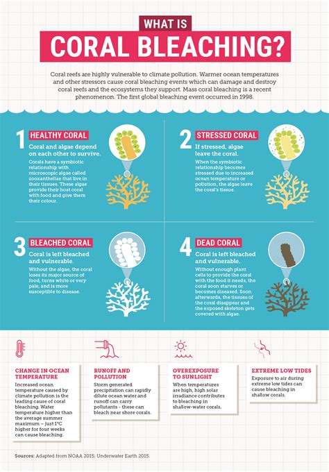 Coral bleaching - wintechmobiles.com