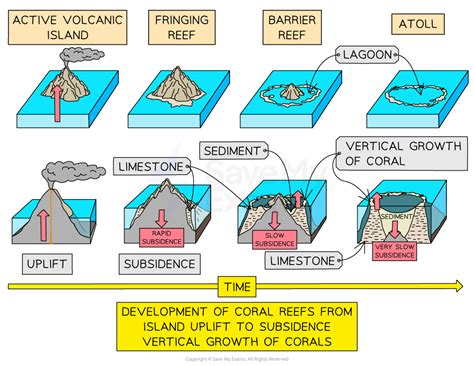 Coral Reef Ecosystems A Level Geography - Revision … - muktibox.com