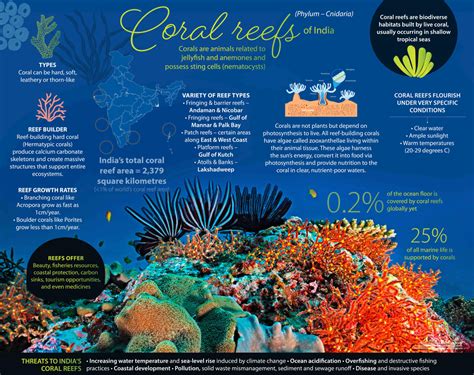 Coral reef facts for kids! - National Geographic Kids - wintechmobiles.com
