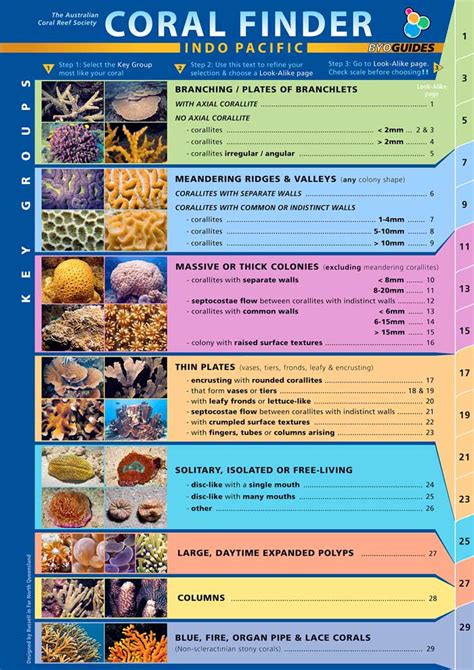 Coral reef identification guide - Life on the Reef - muktibox.com