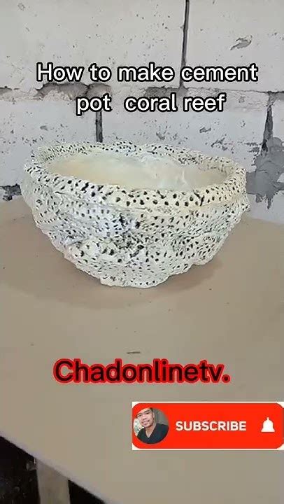 Coral reef pot made from cement - muktibox.com