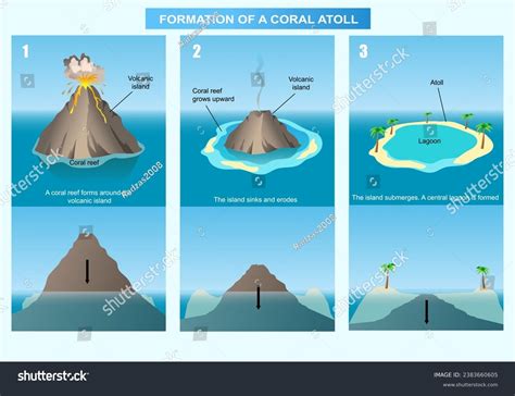 Corals Tutorial: How a coral atoll forms - NOAA's … - muktibox.com