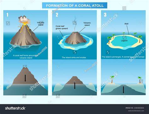 Corals Tutorial: How a coral atoll forms - raincitystudios.com