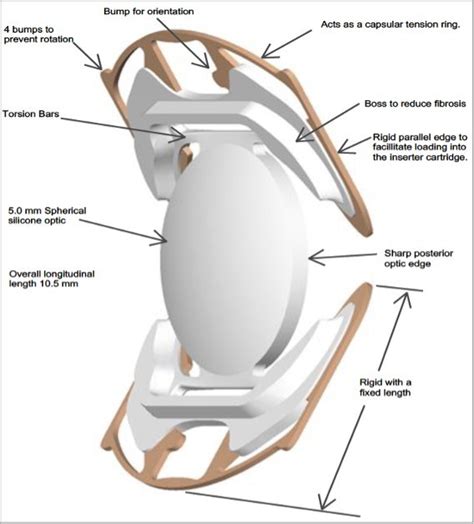 CORD CUMMING OPHTHALMIC RESEARCH