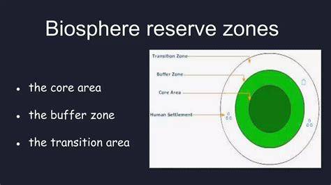 Core, Buffer, and Transition Zones Explained - raincitystudios.com
