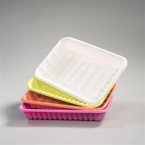 Corn starch Biodegradable Tray for Fruits and Vegetables - raincitystudios.com