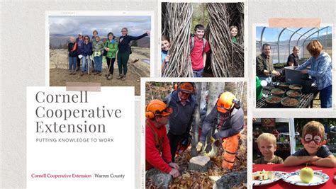 Cornell Cooperative Extension | Woodlot Management - raincitystudios.com
