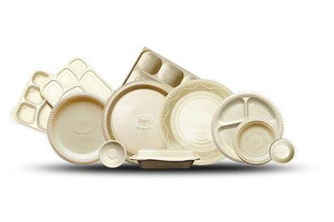 Cornstarch Biodegradable Tableware: A Sustainable Choice - raincitystudios.com