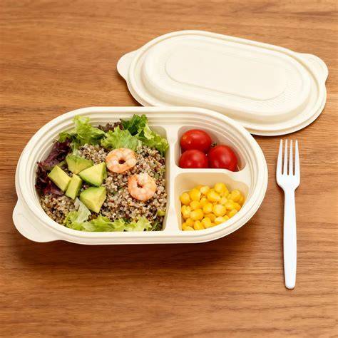 Cornstarch Food Container Tray With Lid 500ml - raincitystudios.com