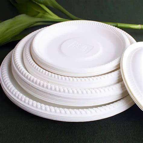 Cornstarch Plates and Trays A Sustainable Alternative for Eco … - raincitystudios.com