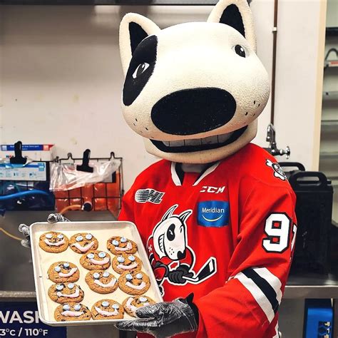 Corporate Mascot Design and Fabrication | Roppets - muktibox.com