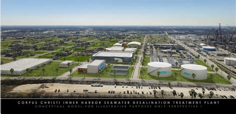 Corpus Plant - muktibox.com