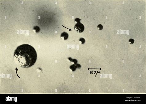 Cosmic Spherules - wintechmobiles.com