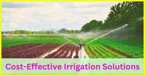 Cost-Effective Irrigation Solution for Orchard and … - raincitystudios.com