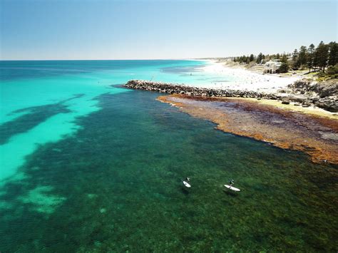 COTTESLOE REEF RESEARCH - Home