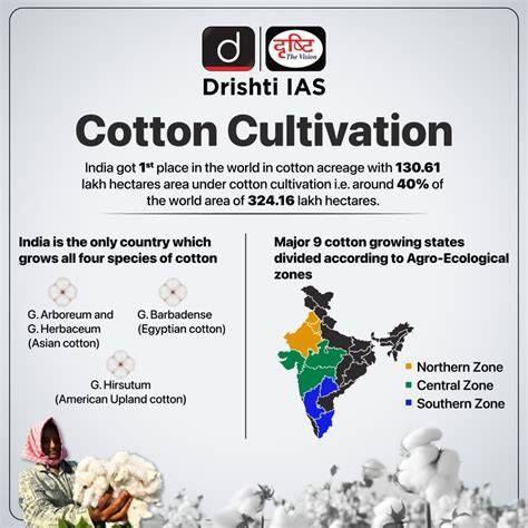 Cotton Cultivation in India: History, Types & Farming … - raincitystudios.com