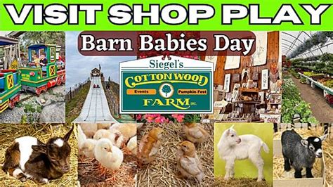 COTTONWOOD FARMS ANNUAL BARN PARTY : January 28, 2024 …