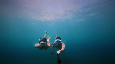 Couple snorkeling together Stock Videos & Footage - Alamy - muktibox.com