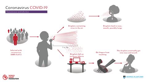 COVID-19 Transmission