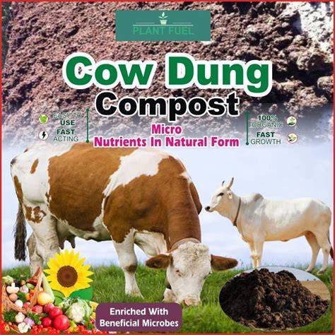Cow Dung Compost Manure Suppliers - raincitystudios.com