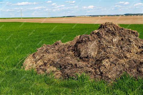 Cow Manure - Shantana Landscape and Building Supplies - raincitystudios.com