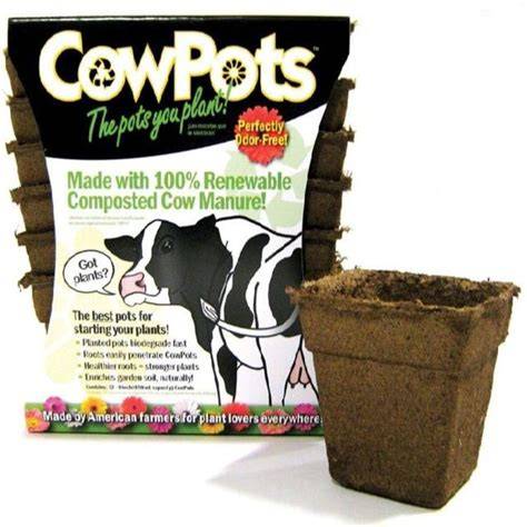 CowPots for Seed Starting & Transplanting - ARBICO … - raincitystudios.com