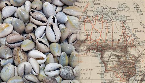 Cowrie Shells, Global Trade, and Local Exchange: Piecing ... - JSTOR - wintechmobiles.com