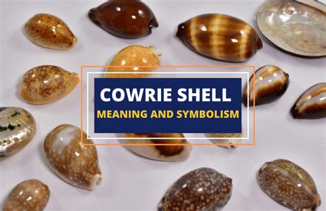 Cowrie Shells Definition - AP World History: Modern Key Term | Fiveable - wintechmobiles.com