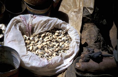 Cowries, the currency that powered West Africa - ADP … - wintechmobiles.com