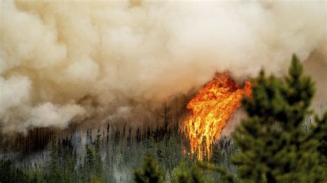 CP NewsAlert: B.C. firefighter killed while battling Donnie Creek wildfire