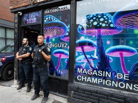 CP NewsAlert: Montreal police raid illegal magic mushroom store