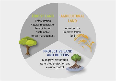 CPF Joint Initiative on Forest Landscape Restoration - raincitystudios.com