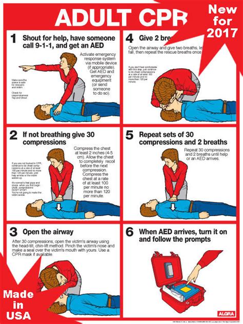 CPR Chart Adult (Laminated)