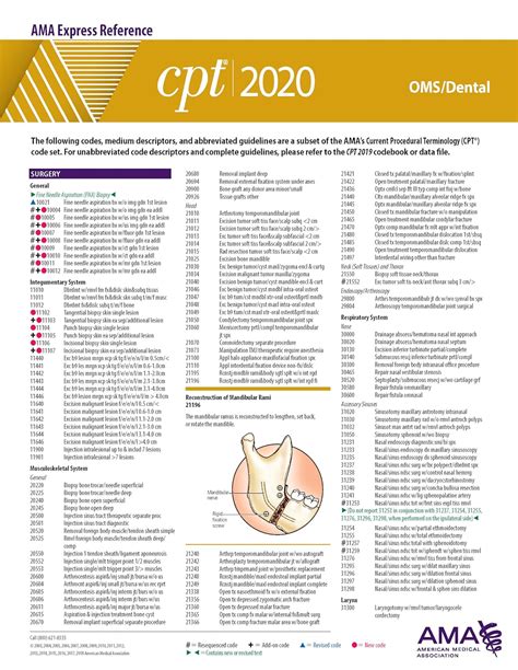 Download Cpt 2020 Express Reference Coding Card Omsdental By American Medical Association