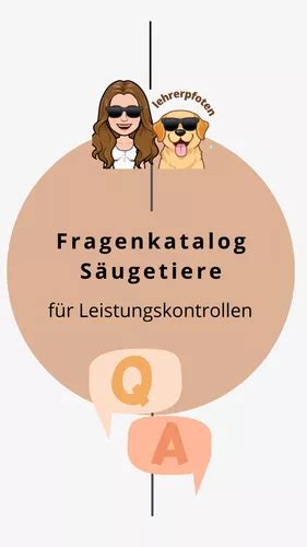 CQE Fragenkatalog