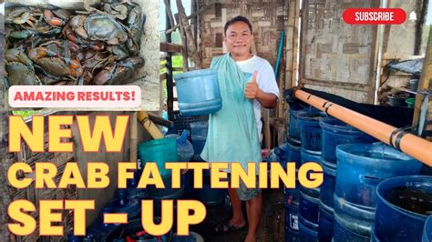 CRAB FATTENING - 59.160.153.188 - muktibox.com